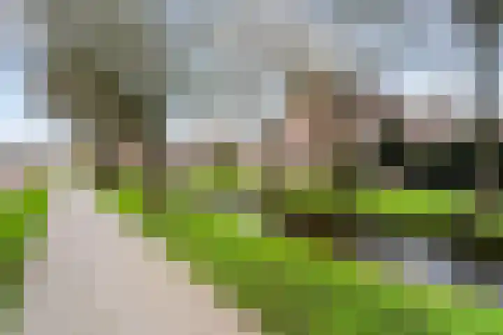 Haarmos 10 Reeuwijk thumbnail 42