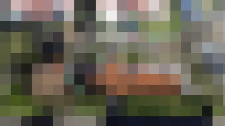 Haarmos 10 Reeuwijk thumbnail 43
