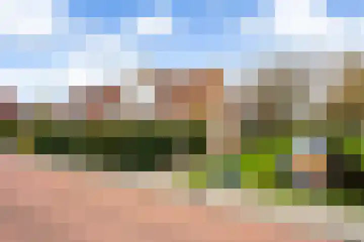Haarmos 10 Reeuwijk thumbnail 44