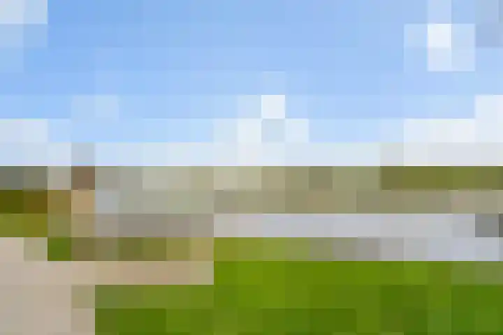 Haarmos 10 Reeuwijk thumbnail 46