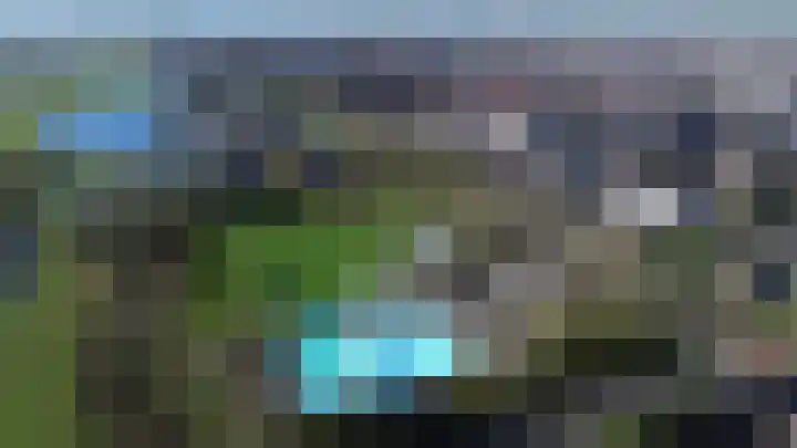 Haarmos 10 Reeuwijk thumbnail 48