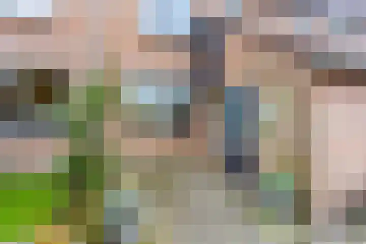 Haarmos 10 Reeuwijk thumbnail 5