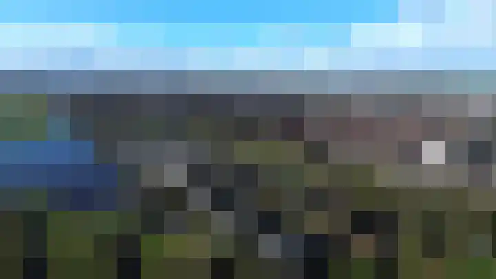 Haarmos 10 Reeuwijk thumbnail 50