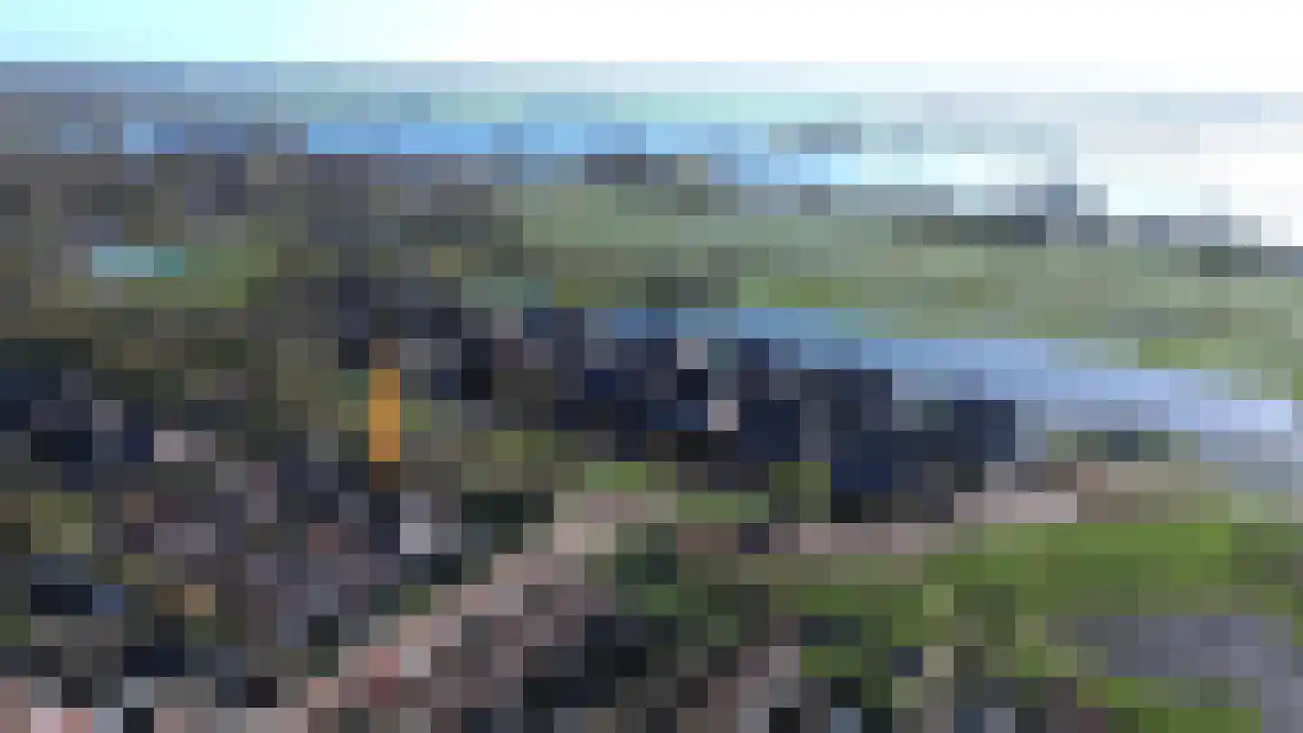 Haarmos 10 Reeuwijk thumbnail 51