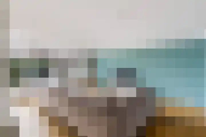 Haarmos 10 Reeuwijk thumbnail 9