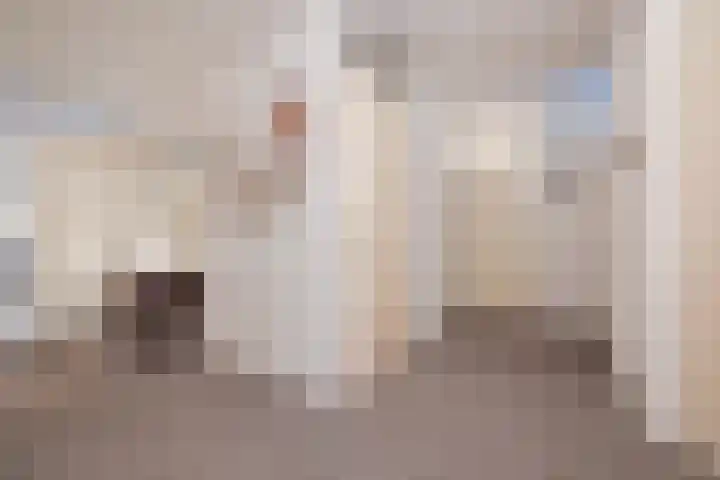 Haarmos 39 Reeuwijk thumbnail 11
