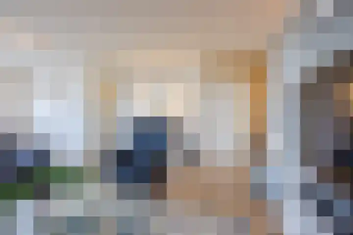 Haarmos 39 Reeuwijk thumbnail 15
