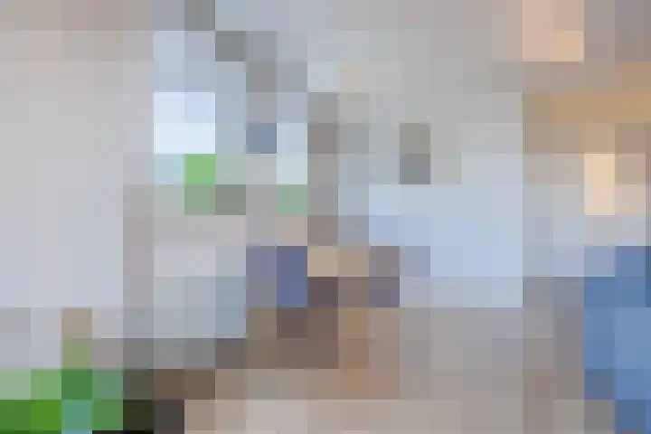 Haarmos 39 Reeuwijk thumbnail 19