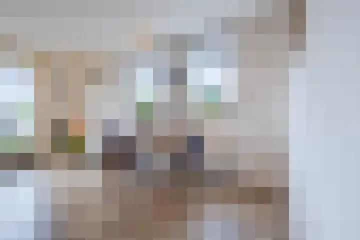 Haarmos 39 Reeuwijk thumbnail 20
