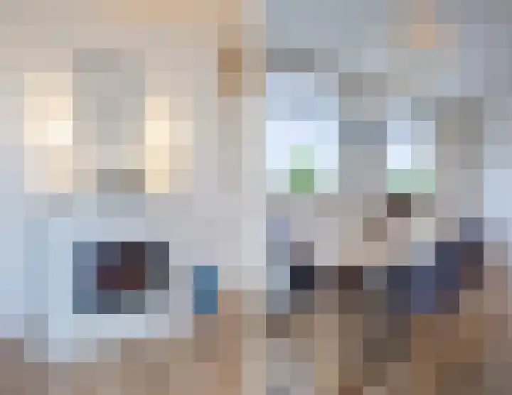 Haarmos 39 Reeuwijk thumbnail 21