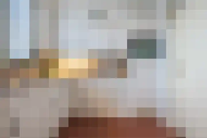 Haarmos 39 Reeuwijk thumbnail 23