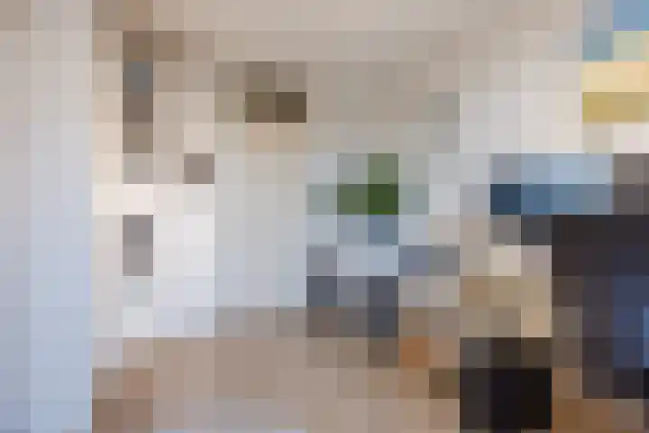 Haarmos 39 Reeuwijk thumbnail 31
