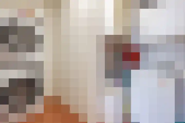 Haarmos 39 Reeuwijk thumbnail 35