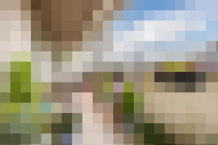 Haarmos 39 Reeuwijk thumbnail 36
