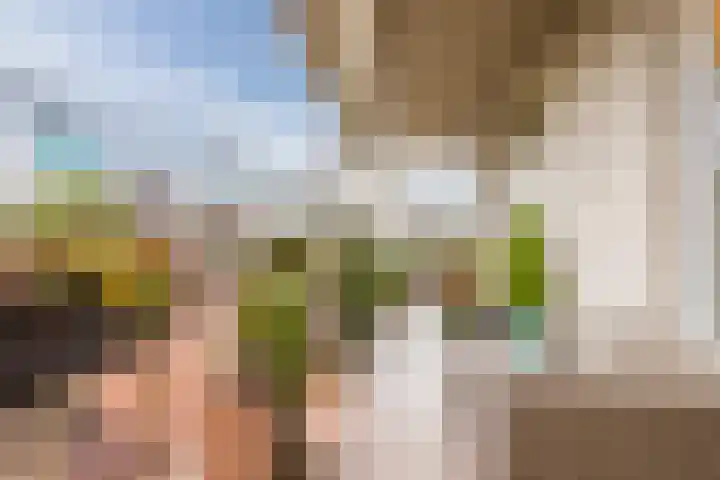 Haarmos 39 Reeuwijk thumbnail 37