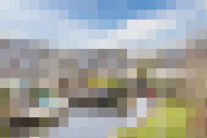 Haarmos 39 Reeuwijk thumbnail 38