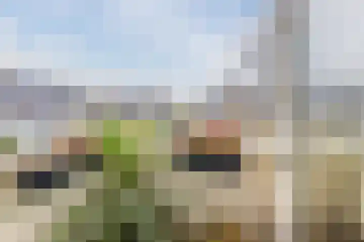 Haarmos 39 Reeuwijk thumbnail 39