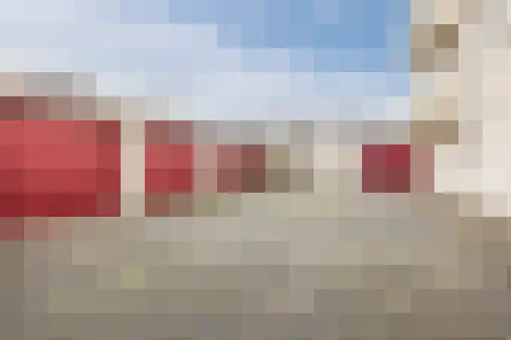 Haarmos 39 Reeuwijk thumbnail 41