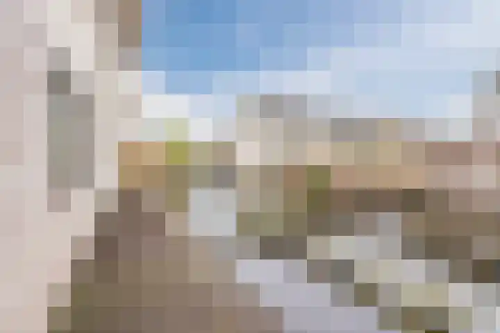 Haarmos 39 Reeuwijk thumbnail 43