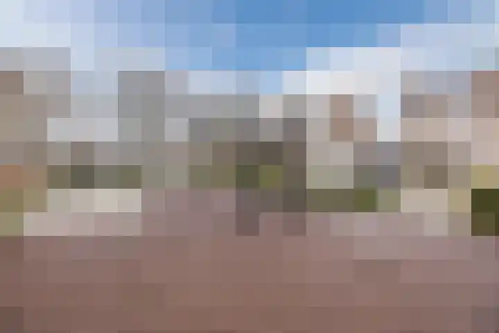 Haarmos 39 Reeuwijk thumbnail 44