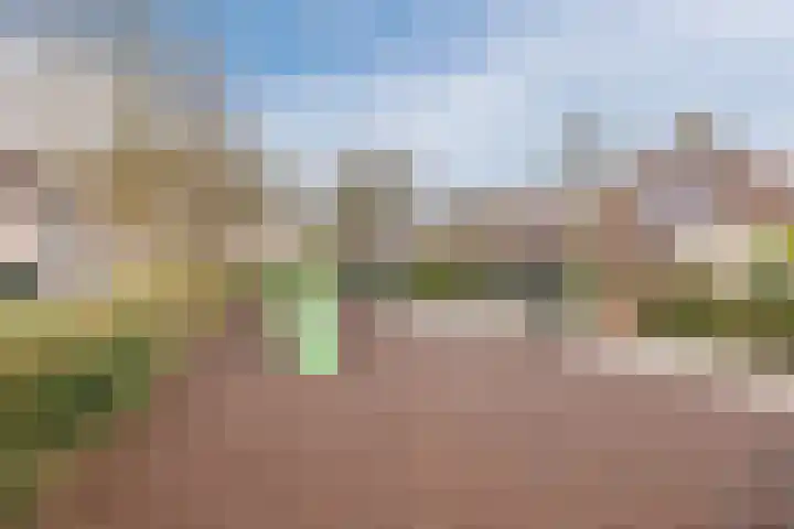 Haarmos 39 Reeuwijk thumbnail 45