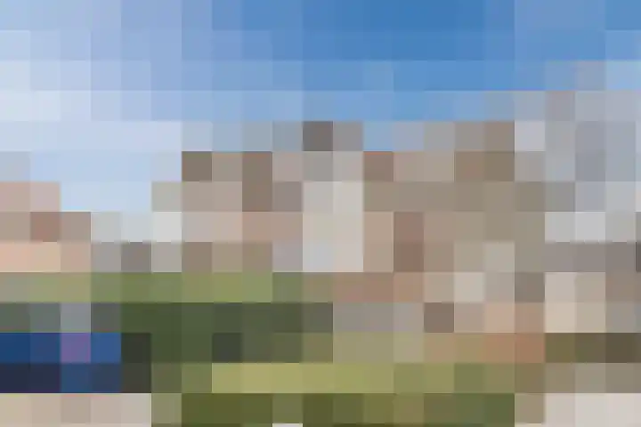 Haarmos 39 Reeuwijk thumbnail 46