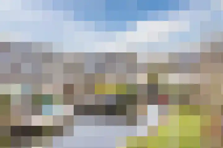 Haarmos 39 Reeuwijk thumbnail 5