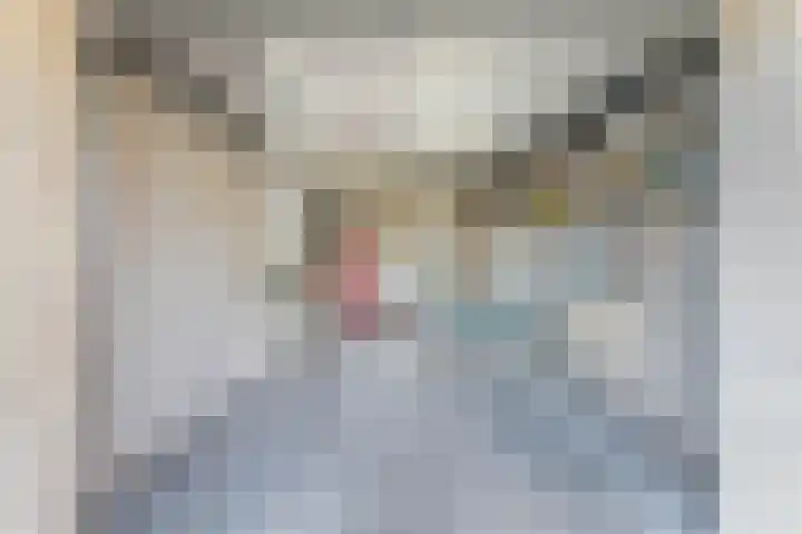 Haarpad 9 Vleuten thumbnail 32