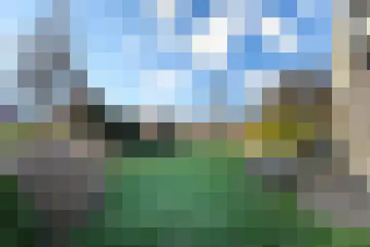 Haarpad 9 Vleuten thumbnail 34