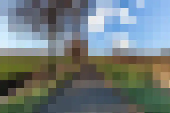 Haarpad 9 Vleuten thumbnail 39