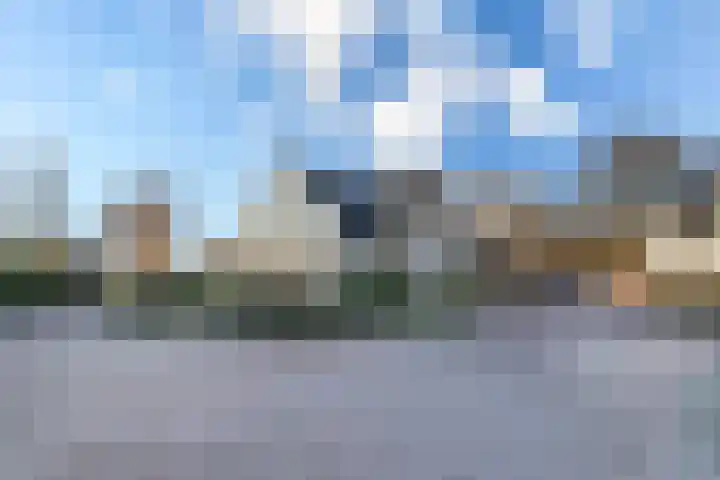 Haarpad 9 Vleuten thumbnail 4