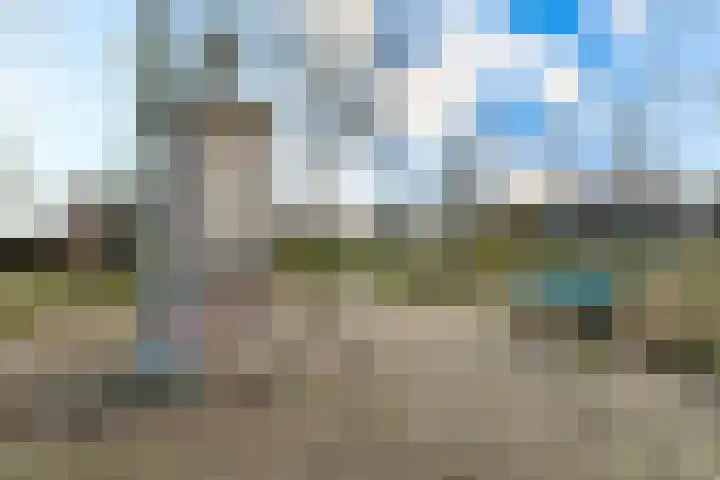 Haarpad 9 Vleuten thumbnail 41