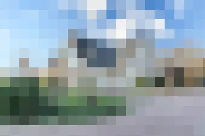 Haarpad 9 Vleuten thumbnail 5