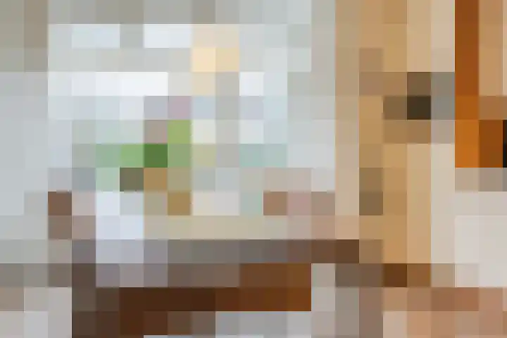 Haarskamp 40 Ruurlo thumbnail 14