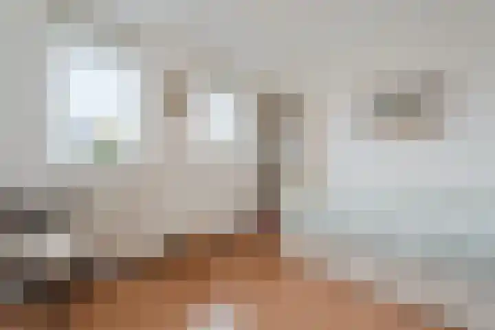 Haarskamp 40 Ruurlo thumbnail 19