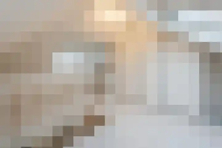 Haarskamp 40 Ruurlo thumbnail 27