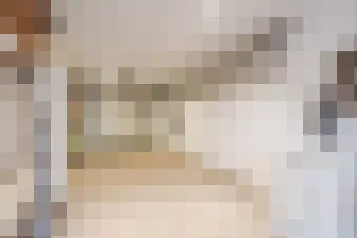 Haarskamp 40 Ruurlo thumbnail 32