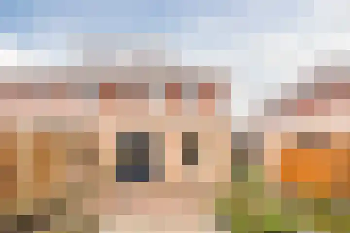 Haarskamp 40 Ruurlo thumbnail 36
