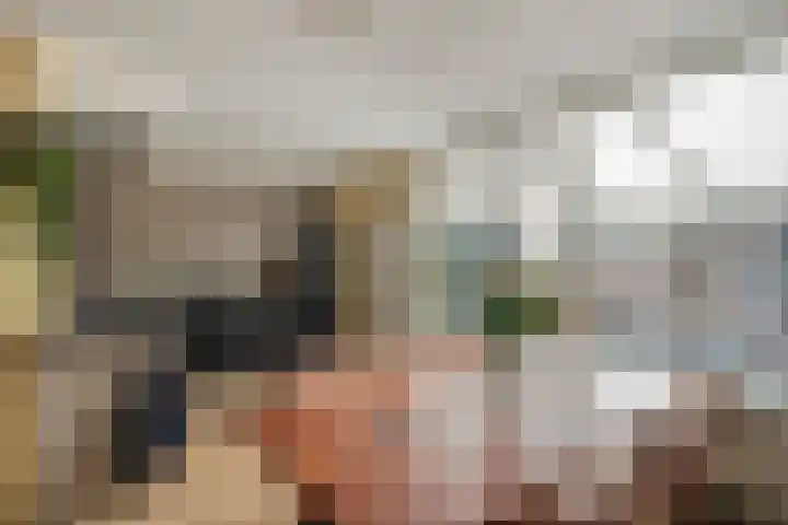 Haarsmastraat 9 Wapse thumbnail 11