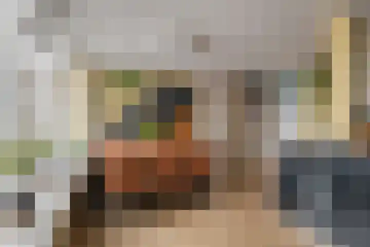 Haarsmastraat 9 Wapse thumbnail 14