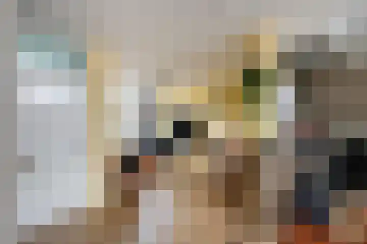 Haarsmastraat 9 Wapse thumbnail 15