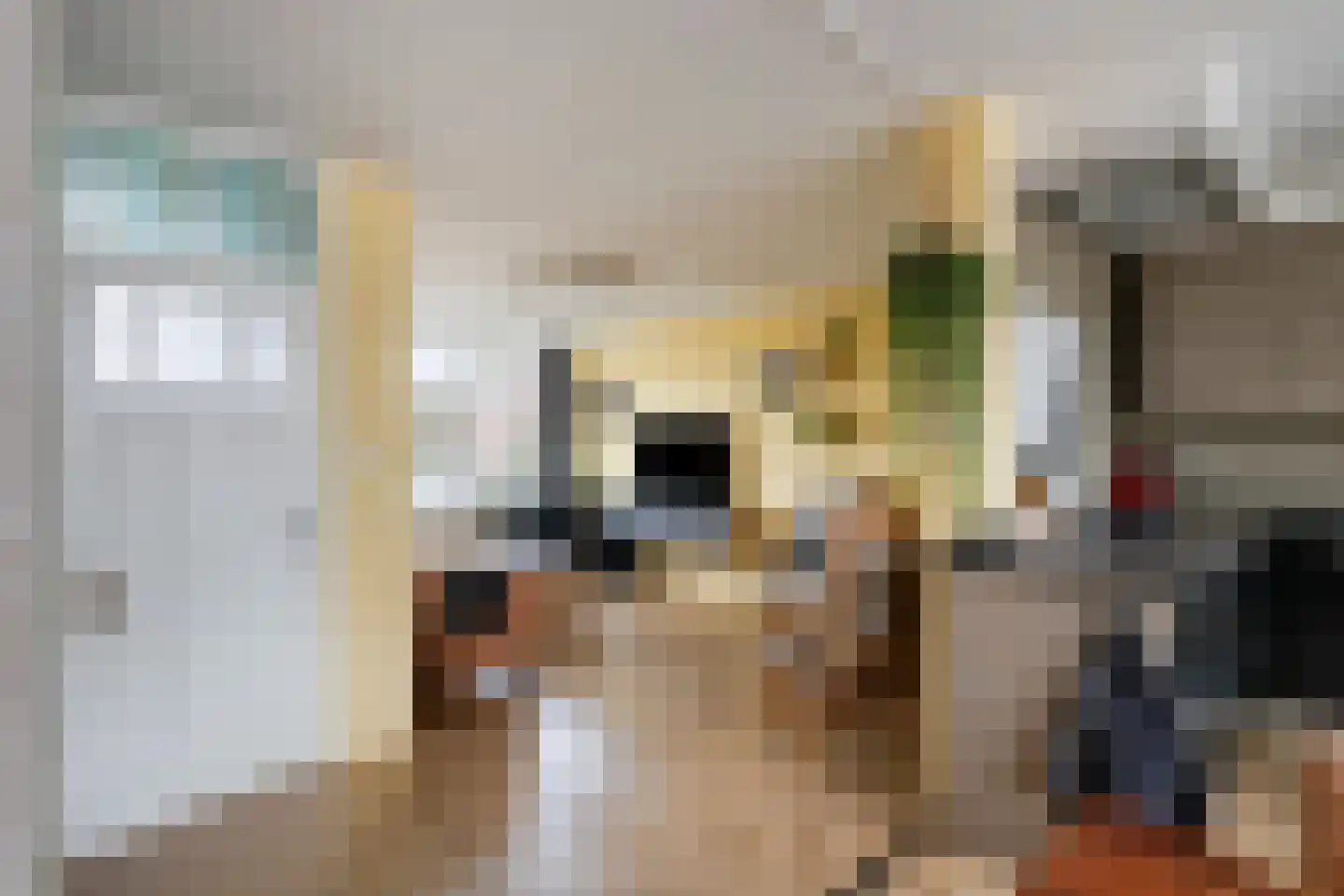 Haarsmastraat 9 Wapse thumbnail 15