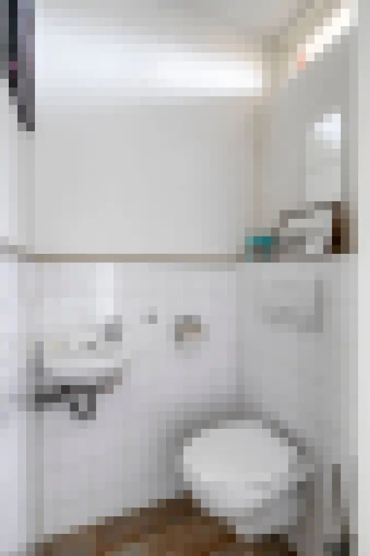Haarsmastraat 9 Wapse thumbnail 21
