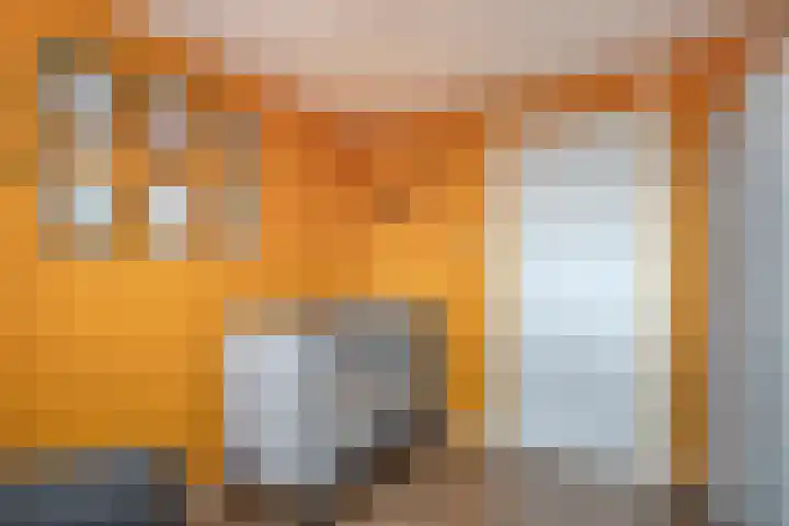 Haarsmastraat 9 Wapse thumbnail 24