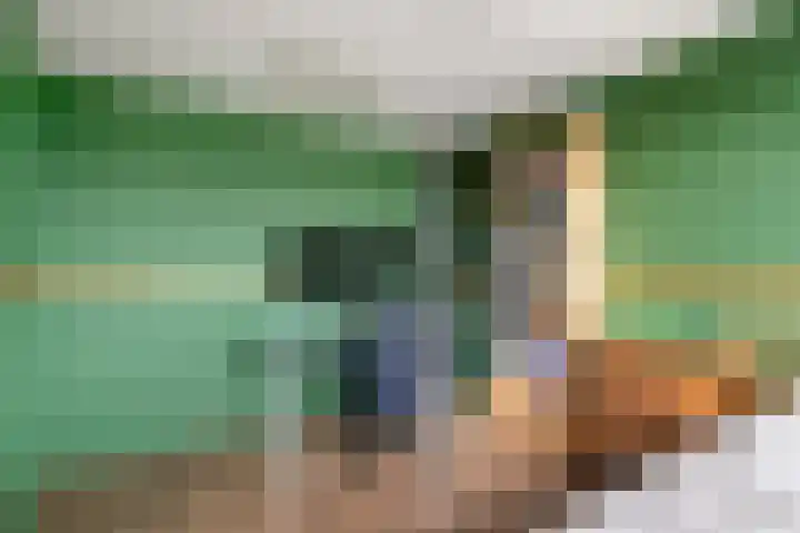 Haarsmastraat 9 Wapse thumbnail 26