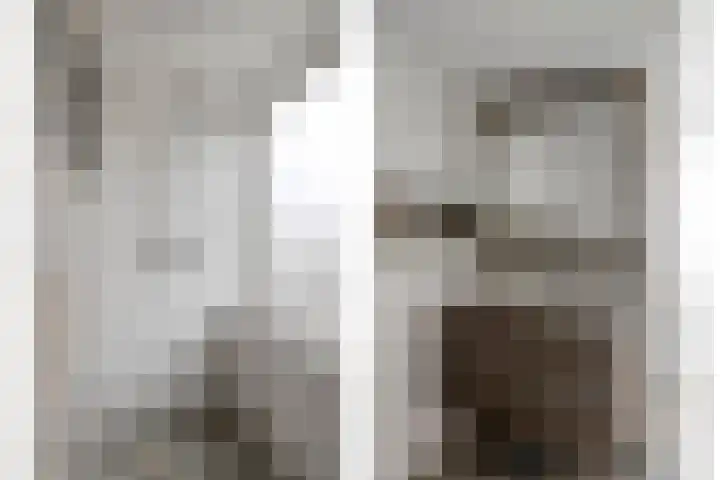 Haarsmastraat 9 Wapse thumbnail 30