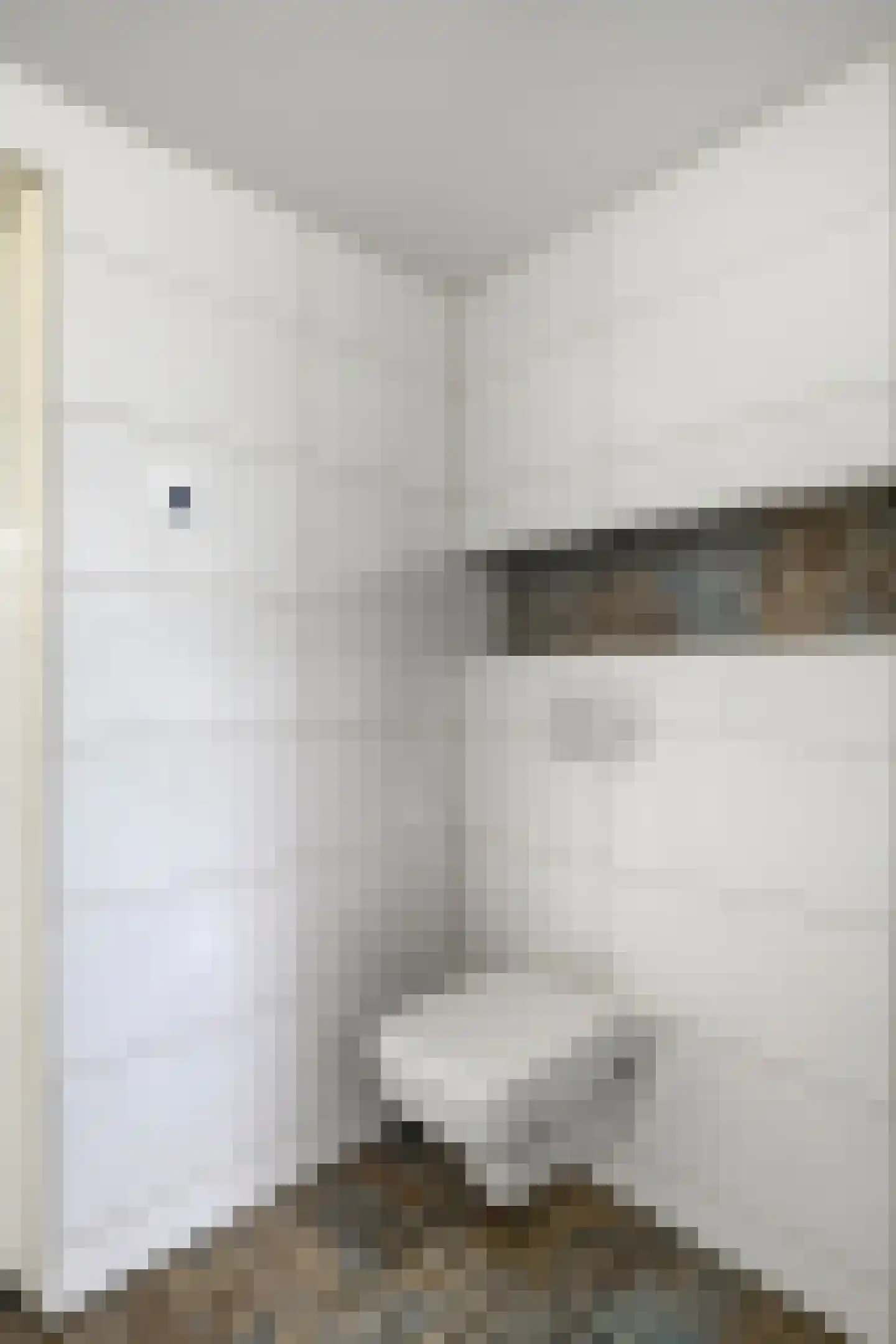 Haarsmastraat 9 Wapse thumbnail 31