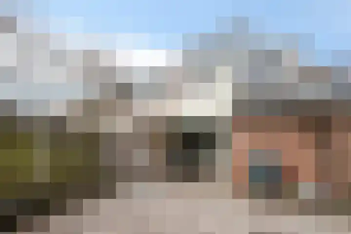 Haarsmastraat 9 Wapse thumbnail 33