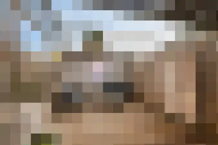 Haarsmastraat 9 Wapse thumbnail 35