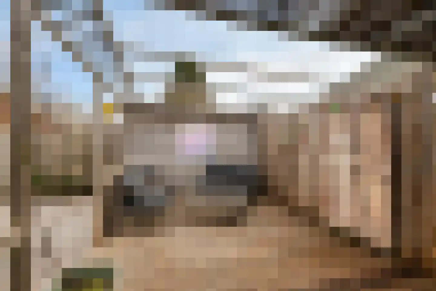 Haarsmastraat 9 Wapse thumbnail 35
